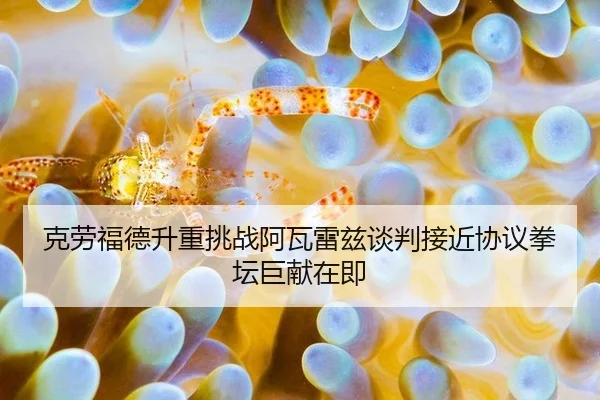 ke-lao-fu-de-sheng-zhong-tiao-zhan-a-wa-lei-zi-tan-pan-jie-jin-xie-yi-quan-tan-ju-xian-zai-ji-2-933.jpg