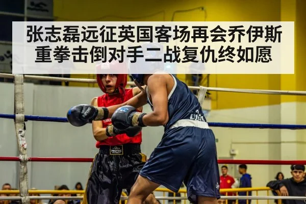 张志磊远征英国客场再会乔伊斯 重拳击倒对手二战复仇终如愿